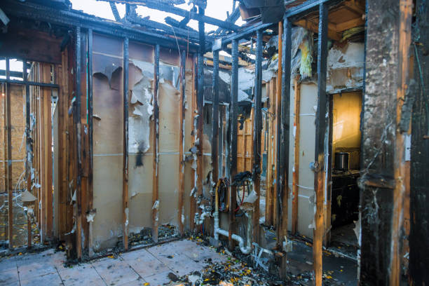Professional Fire Damage Removal technician working in Roseburg North, OR